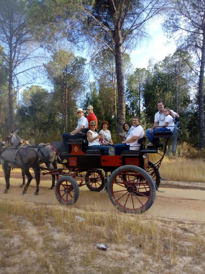 Cortijo Los Conquistadores Lucena Del Puerto Eksteriør billede
